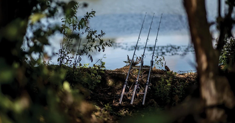 DAIWA BASIA X45 12 3.25LB CORK - Image 5